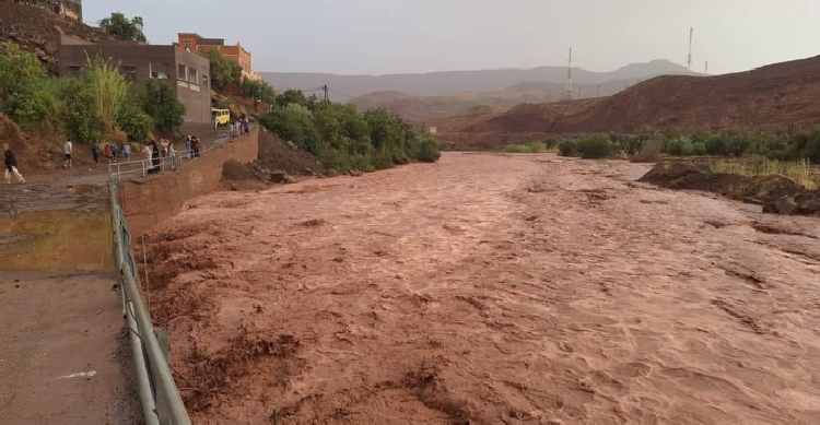 بعد سنوات من الجفاف.. الأمطار الرعدية تعيد الحياة إلى وديان بجهة فاس مكناس