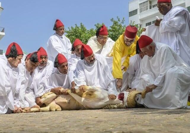 عاجل.. الملك محمد السادس يُقرر إلغاء شعيرة نحر أضحية عيد الأضحى المقبل